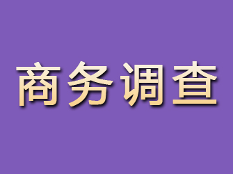 宽甸商务调查